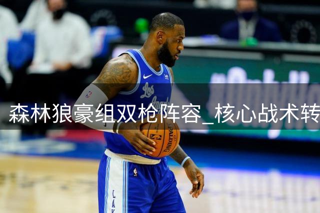 森林狼豪组双枪阵容 核心战术转型能否突破西部瓶颈